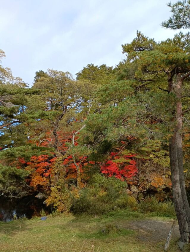 アクセス | 高橋商店・会津若松本店